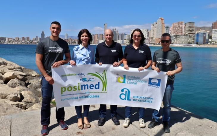 El proyecto Posimed inicia en Benidorm la medición de las praderas de posidonia de todo el litoral alicantino